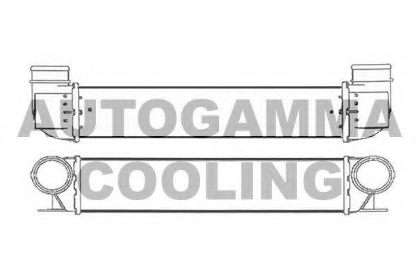 AUTOGAMMA 103897