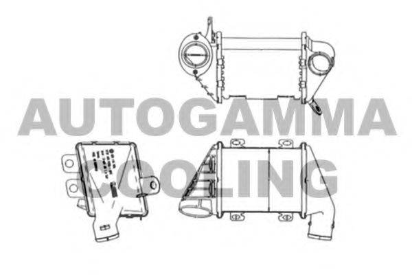 AUTOGAMMA 103950 Інтеркулер