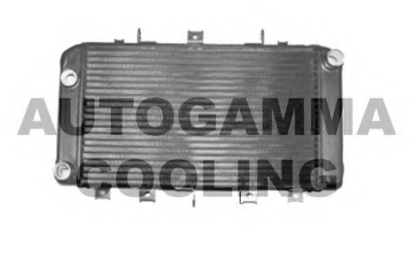 AUTOGAMMA 104183 Радіатор, охолодження двигуна