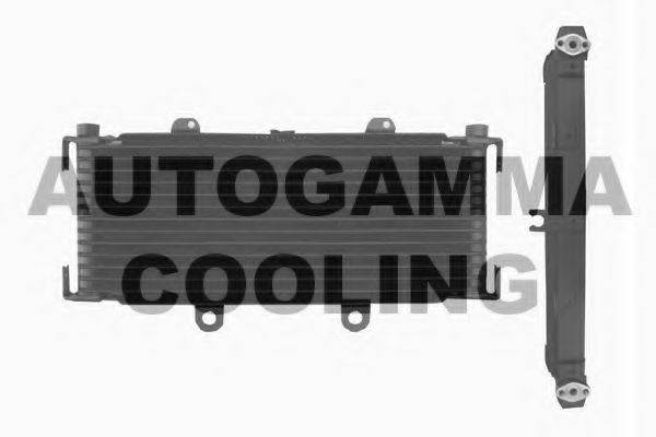 AUTOGAMMA 104338 Радіатор, охолодження двигуна