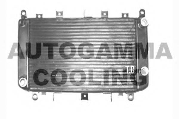 AUTOGAMMA 104365 Радіатор, охолодження двигуна