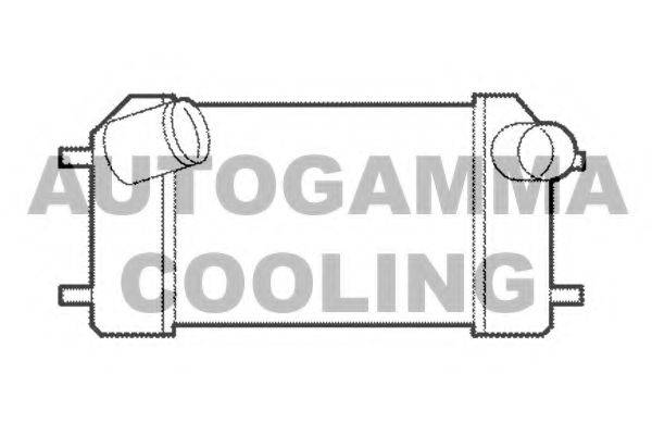 AUTOGAMMA 104486