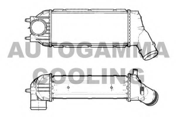AUTOGAMMA 105426