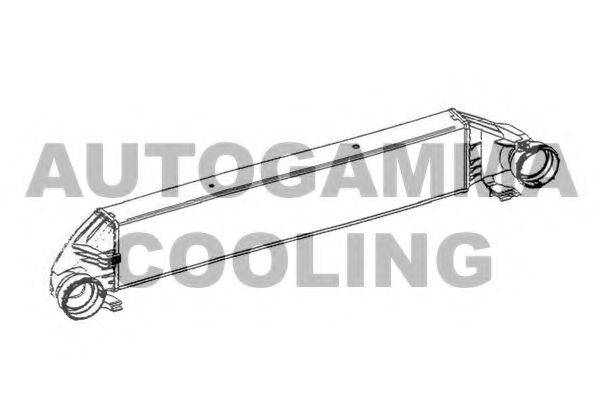 AUTOGAMMA 105558
