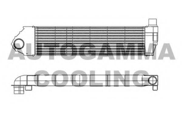 AUTOGAMMA 105578