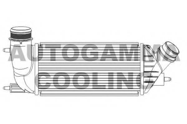 AUTOGAMMA 105720