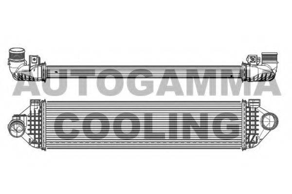 AUTOGAMMA 105913