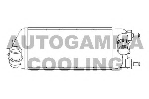 AUTOGAMMA 105947