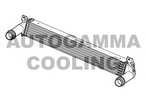 AUTOGAMMA 105948 Інтеркулер