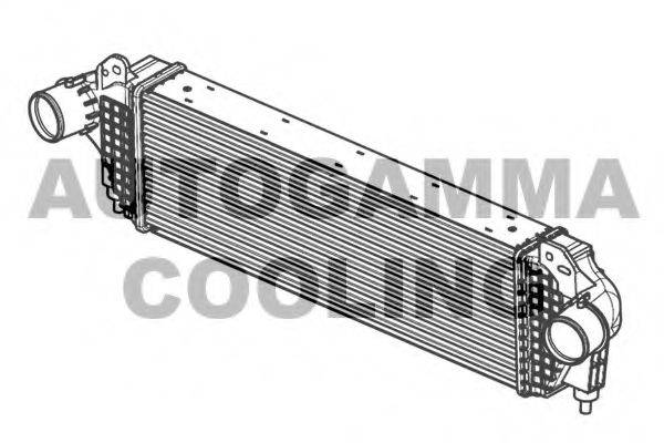 AUTOGAMMA 105950
