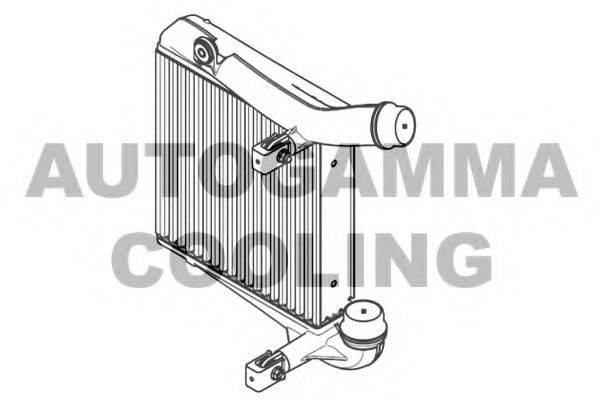 AUTOGAMMA 105954