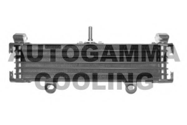 AUTOGAMMA 110000 Радіатор, охолодження двигуна
