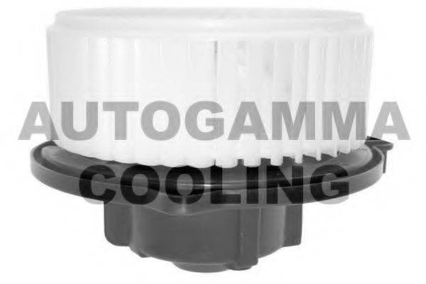 AUTOGAMMA GA20067