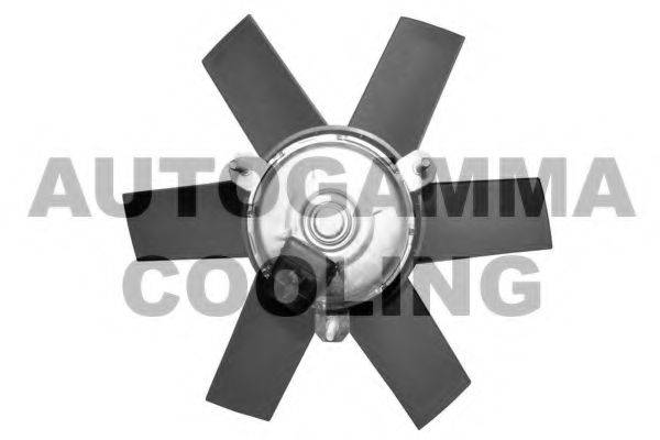 AUTOGAMMA GA220611