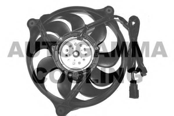AUTOGAMMA GA221002