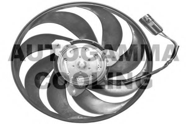 AUTOGAMMA GA227005