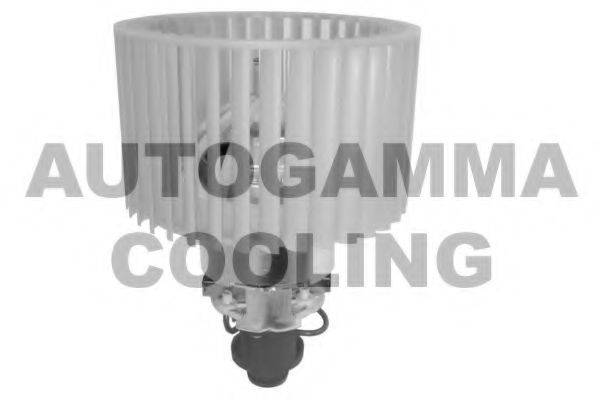 AUTOGAMMA GA31305
