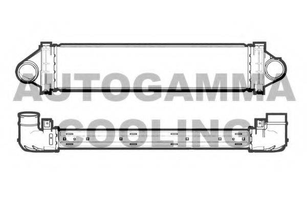 AUTOGAMMA 107371