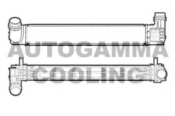 AUTOGAMMA 107474