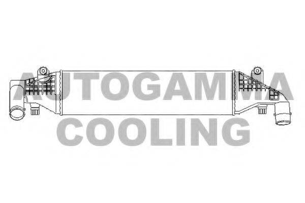 AUTOGAMMA 107486
