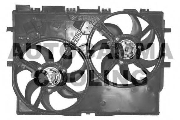 AUTOGAMMA GA220632