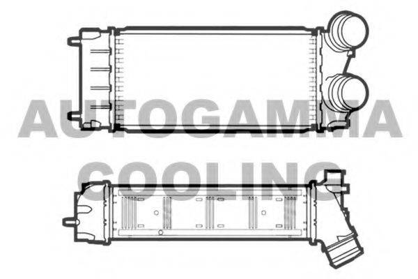 AUTOGAMMA 107467