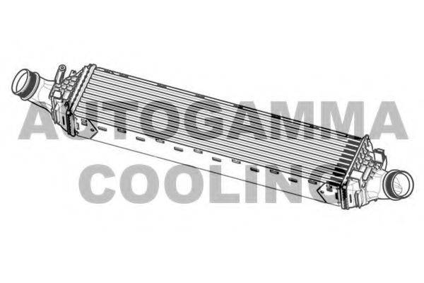 AUTOGAMMA 107540 Інтеркулер