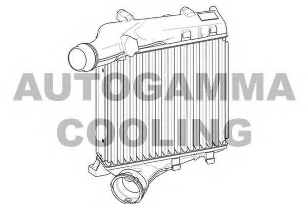 AUTOGAMMA 107555 Інтеркулер