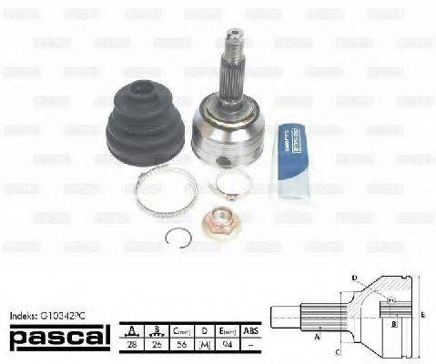 PASCAL G10342PC