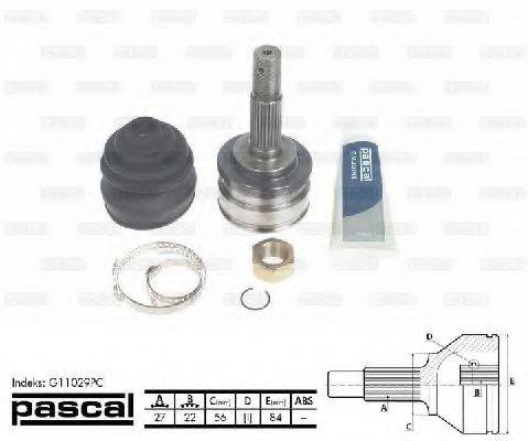 PASCAL G11029PC