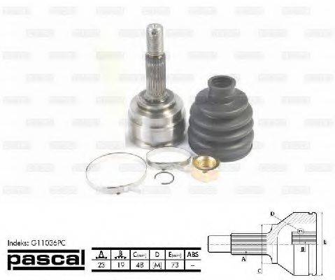 PASCAL G11036PC