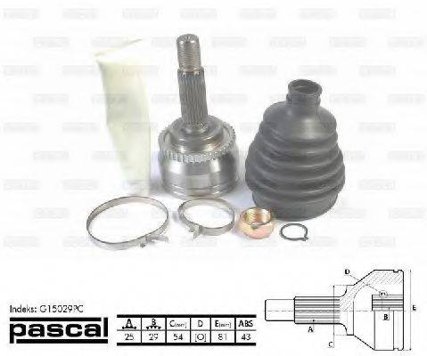 PASCAL G15029PC