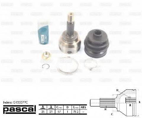 PASCAL G15037PC