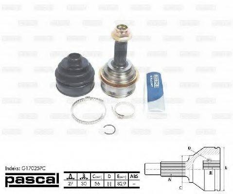 PASCAL G17025PC
