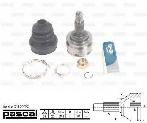 PASCAL G18029PC