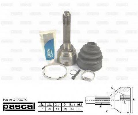 PASCAL G19003PC