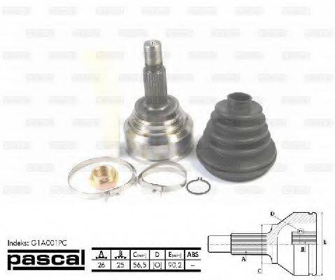 PASCAL G1A001PC