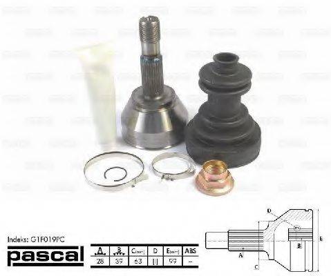 PASCAL G1F019PC