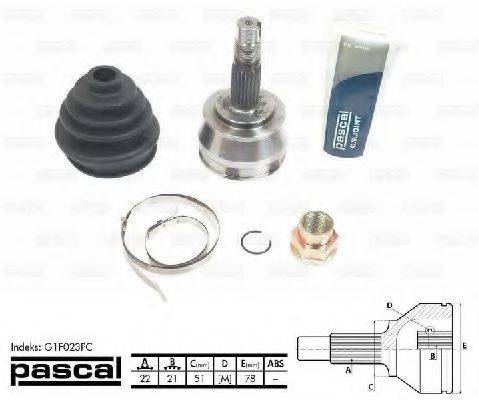 PASCAL G1F023PC