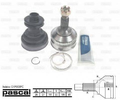 PASCAL G1P008PC
