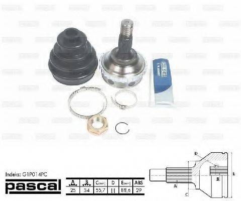PASCAL G1P014PC