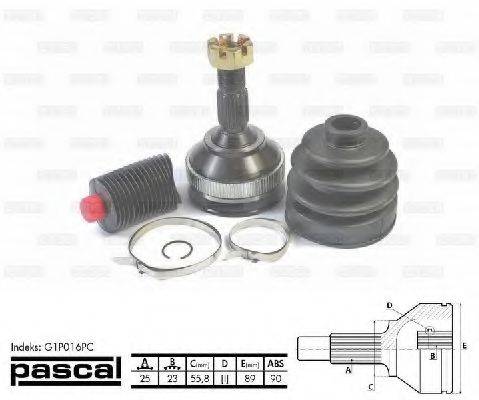 PASCAL G1P016PC