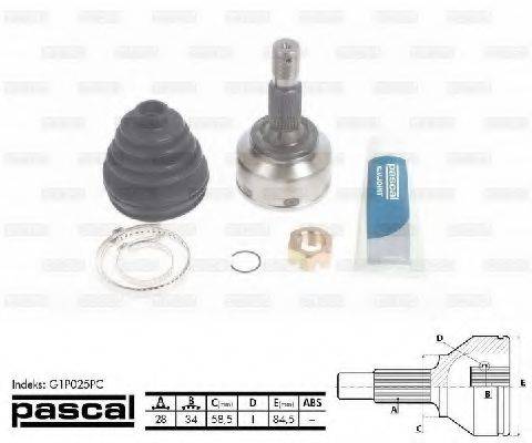 PASCAL G1P025PC