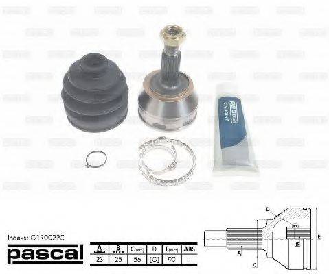 PASCAL G1R002PC