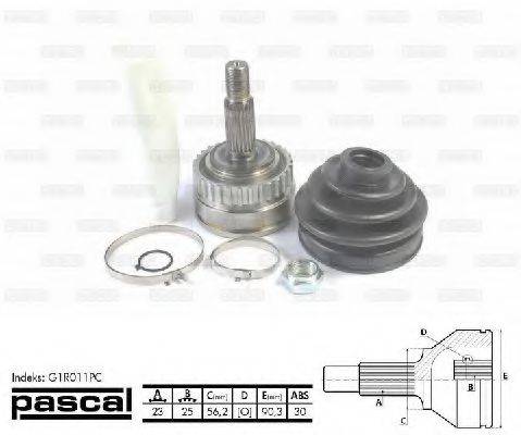 PASCAL G1R011PC