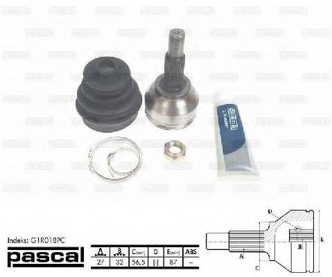 PASCAL G1R018PC