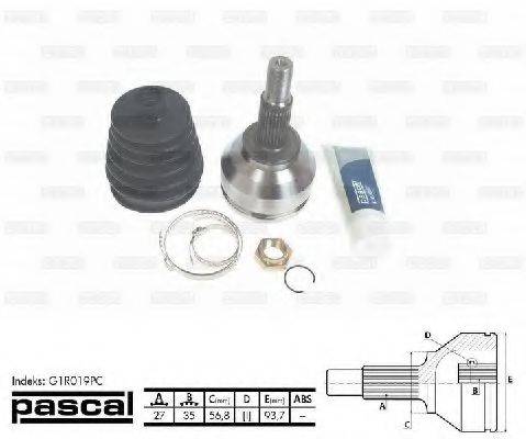 PASCAL G1R019PC