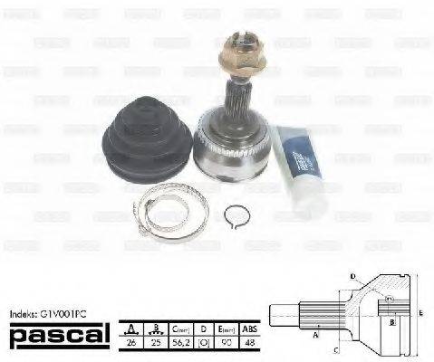 PASCAL G1V001PC