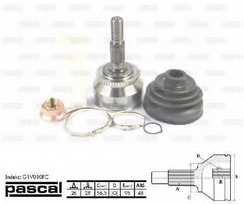PASCAL G1V010PC