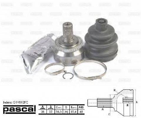 PASCAL G1V012PC